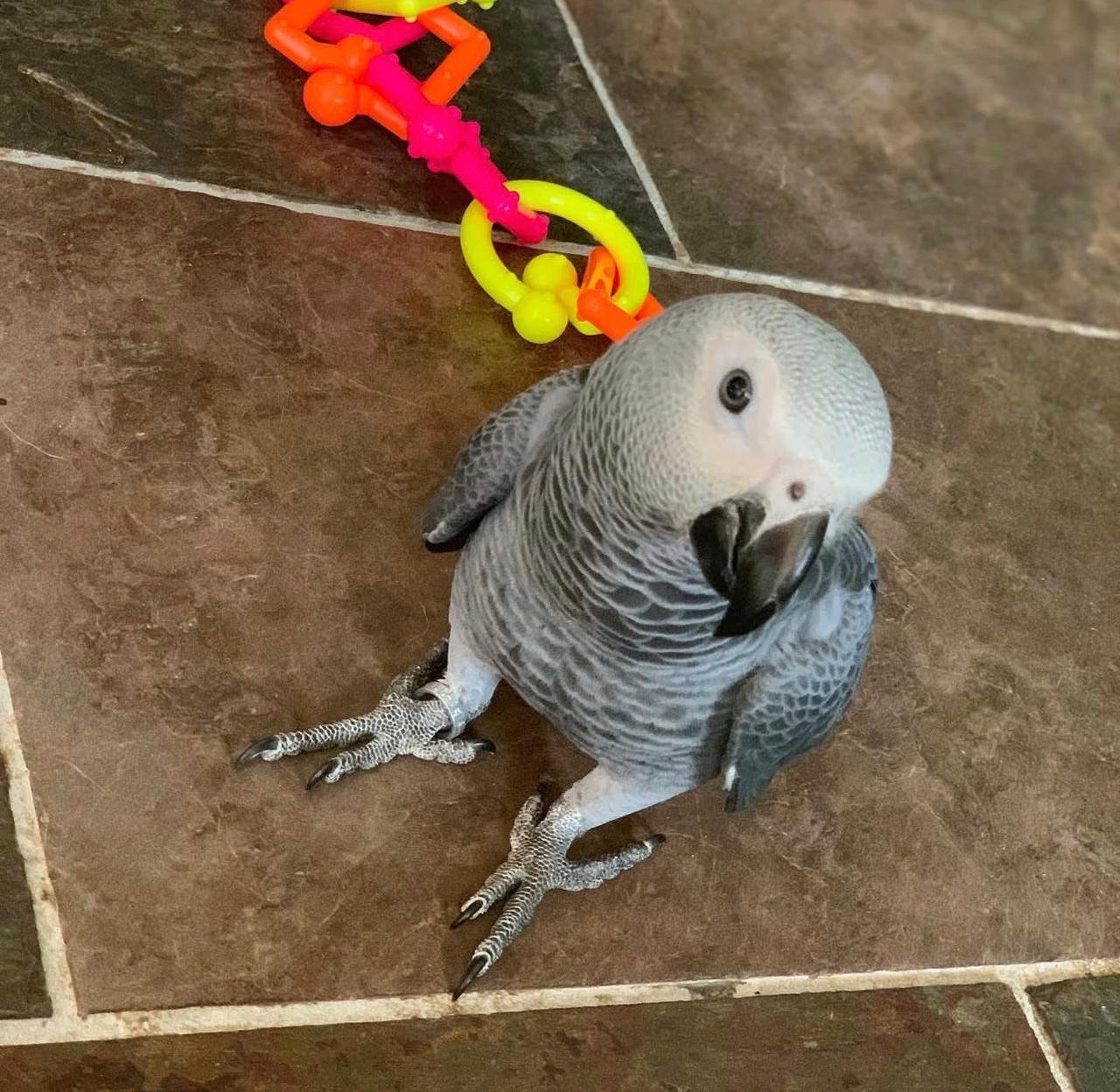 WhatsApp Image 2025-12-10 at 5.05.50 PM (1)