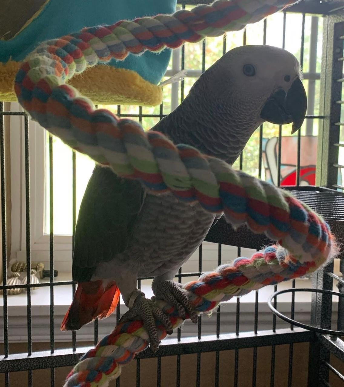 WhatsApp Image 2025-12-10 at 5.05.50 PM (2)