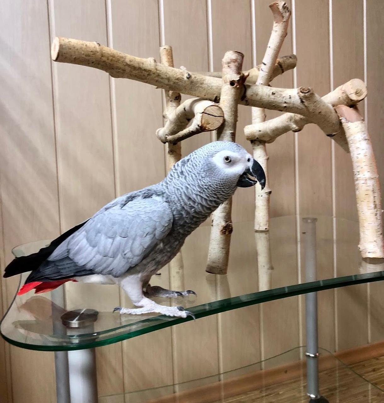 WhatsApp Image 2025-12-10 at 5.05.50 PM (3)