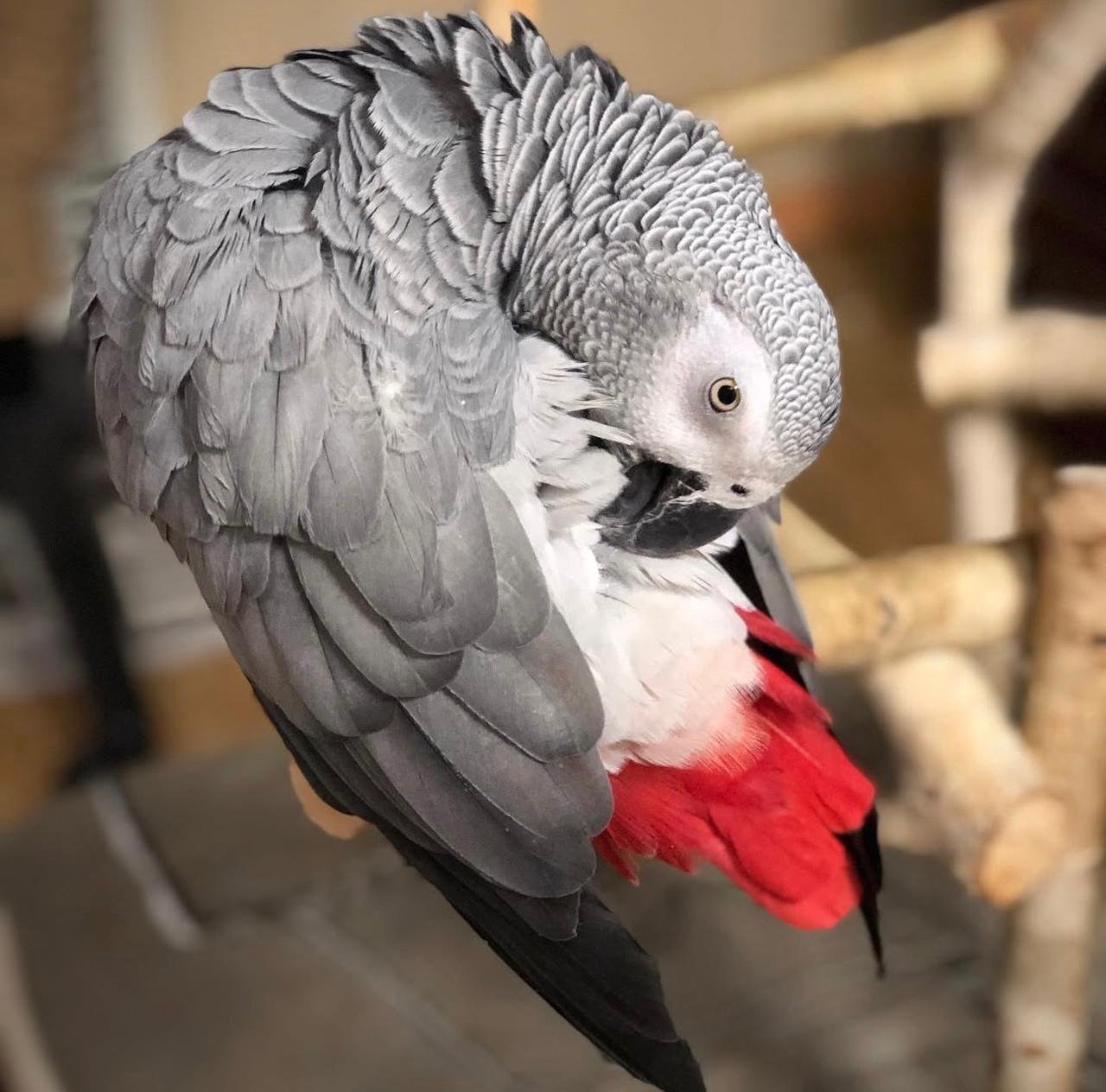 WhatsApp Image 2025-12-10 at 5.05.50 PM (4)