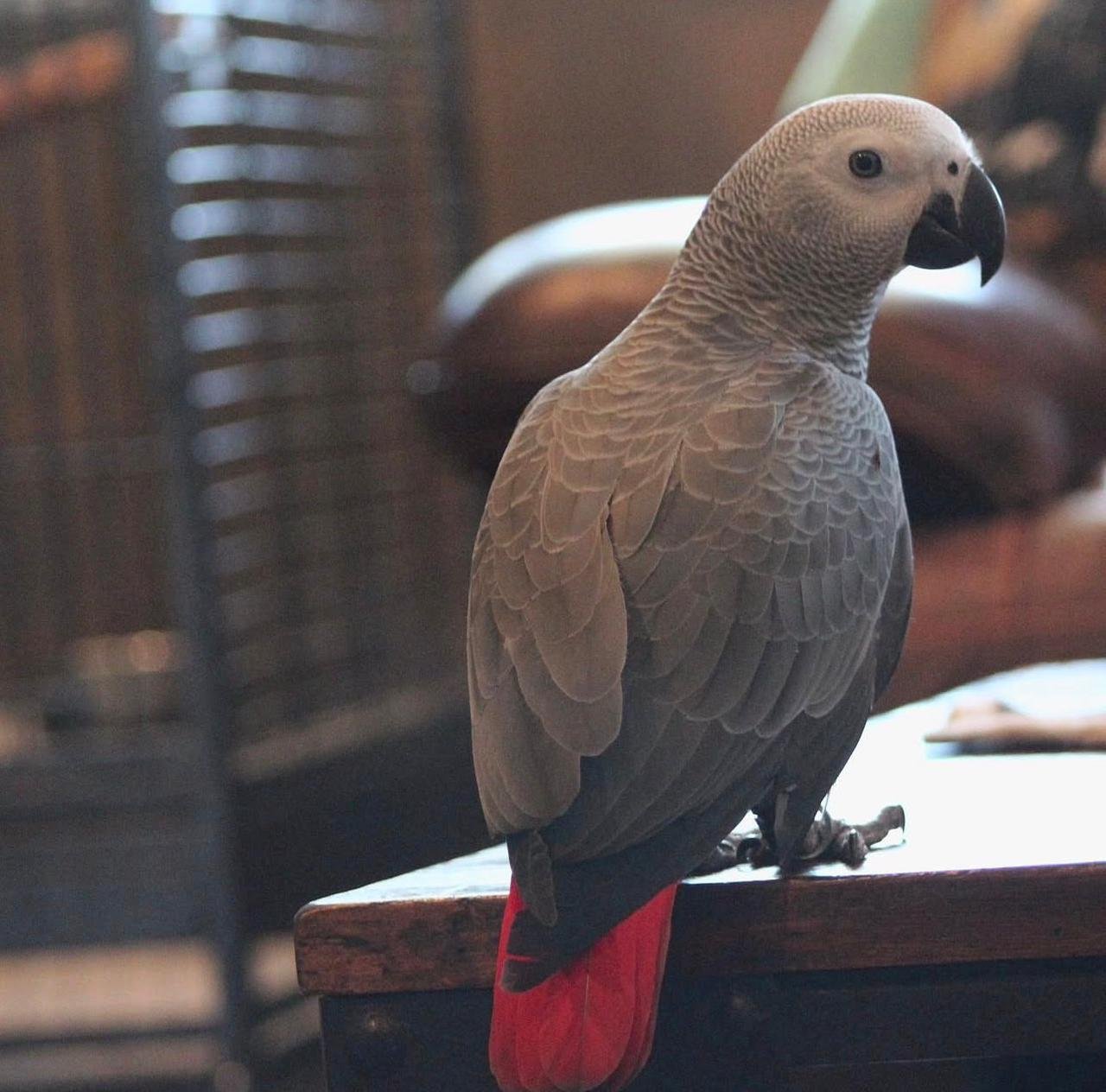 WhatsApp Image 2025-12-10 at 5.05.50 PM