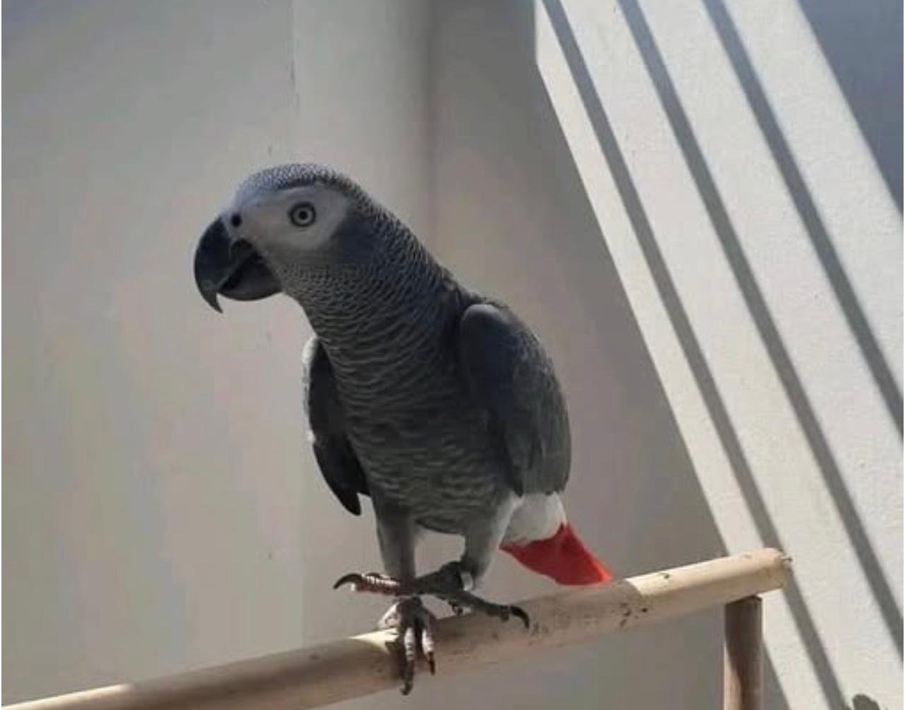 WhatsApp Image 2025-12-11 at 7.49.58 PM (1)